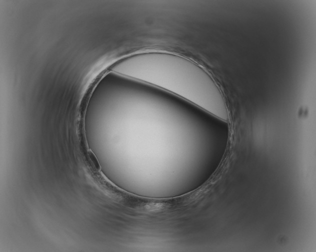 X0000110720152200906121255