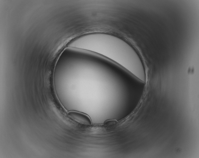 X0000110720154200906121255