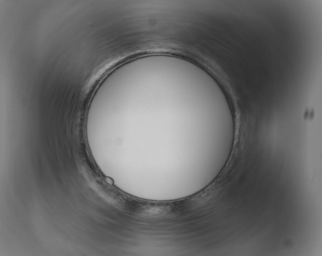 X0000110720155200906121255
