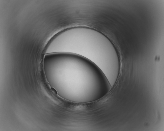 X0000110720156200906121255