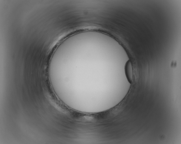 X0000110720159200906121255