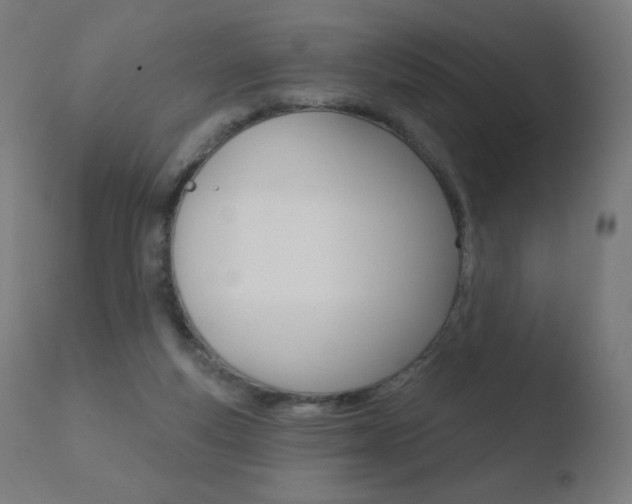 X0000110720163200906121255