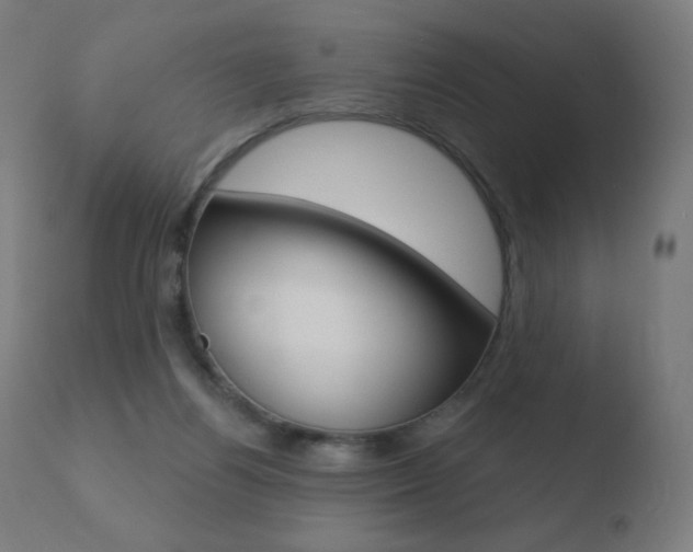 X0000110720164200906121255