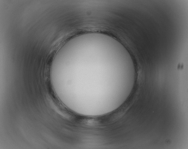 X0000110720165200906121255