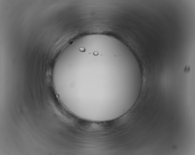 X0000110720166200906121255