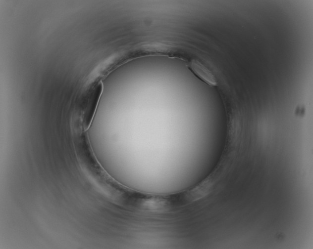 X0000110720168200906121255