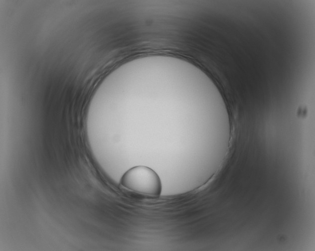 X0000110720170200906121255