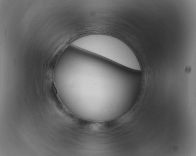 X0000110720172200906121255