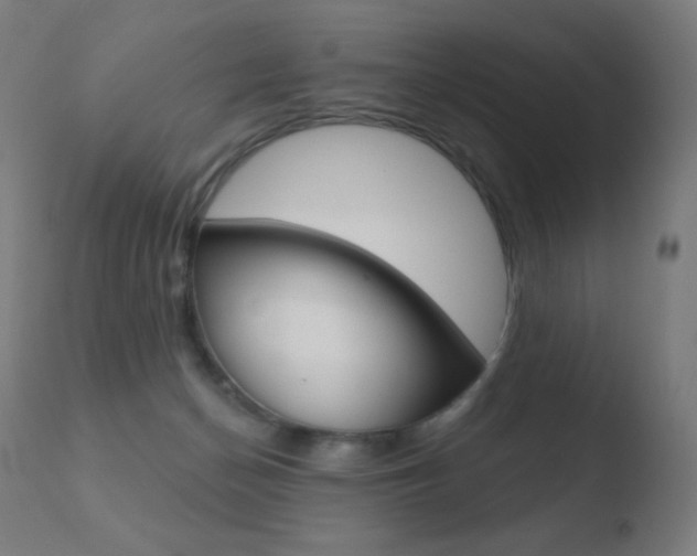 X0000110720174200906121255