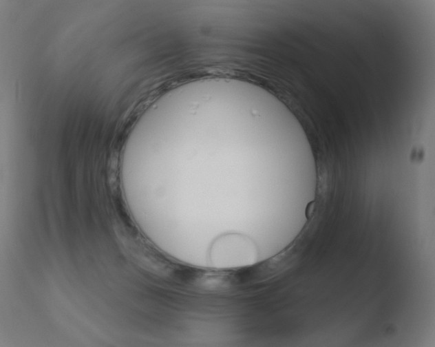 X0000110720175200906121255