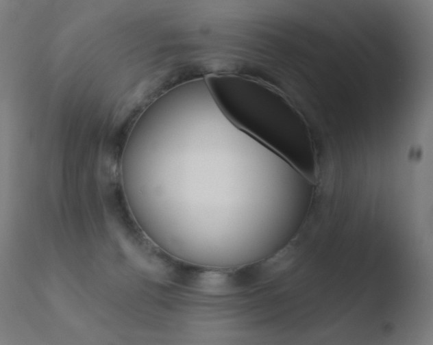 X0000110720176200906121255