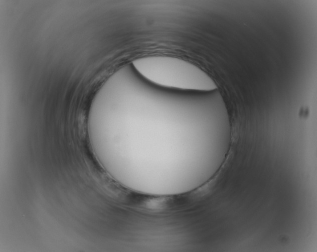 X0000110720178200906121255