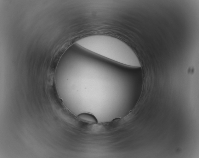 X0000110720180200906121255