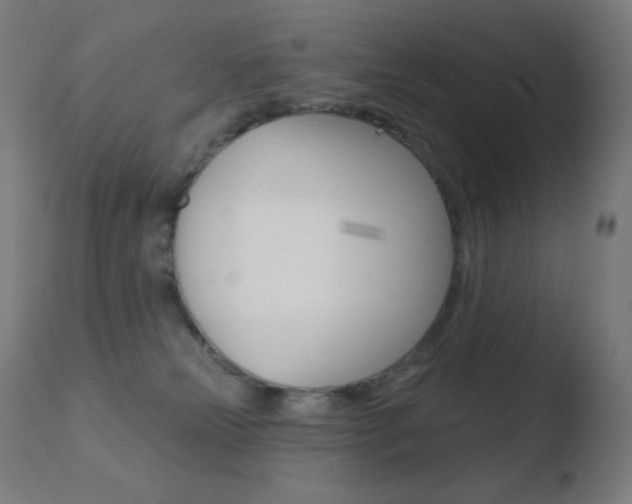 X0000110720181200906121255
