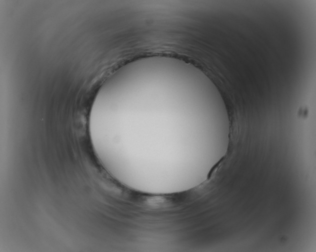 X0000110720183200906121255