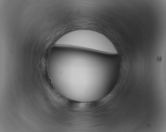 X0000110720184200906121255