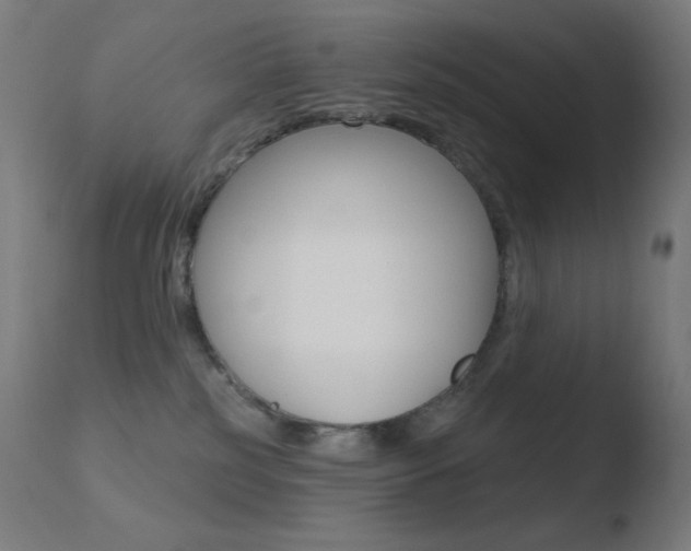 X0000110720185200906121255