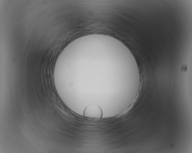 X0000110720186200906121256
