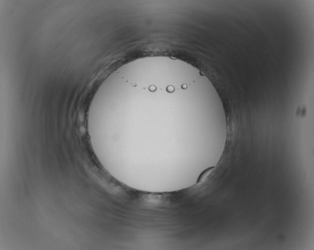 X0000110720187200906121256