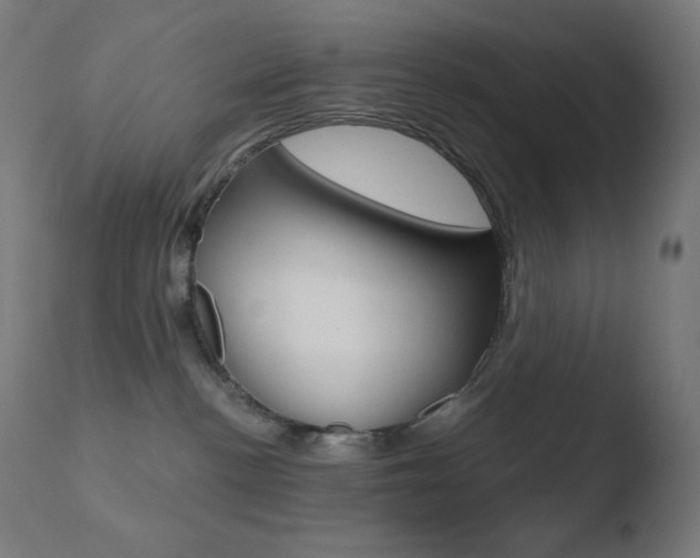 X0000110720188200906121256