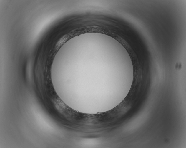 X0000110720189200906121256