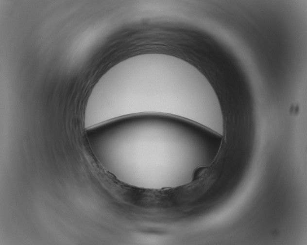 X0000110720190200906121256