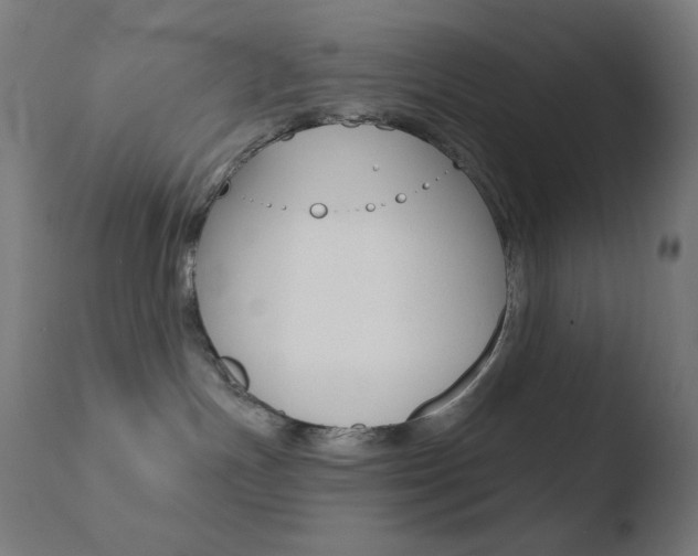 X0000110720191200906121256