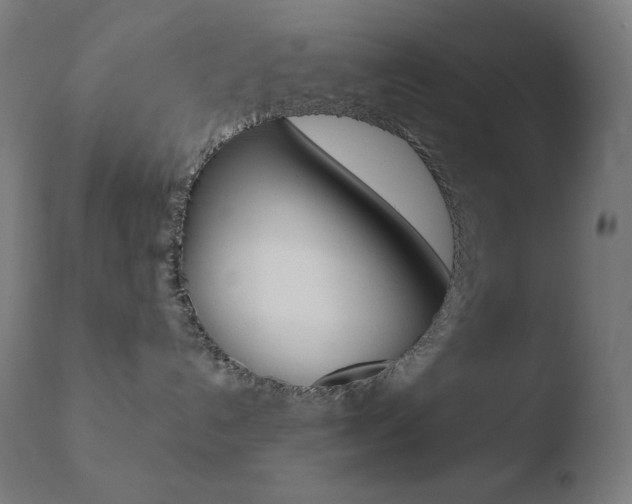 X0000110720192200906121256
