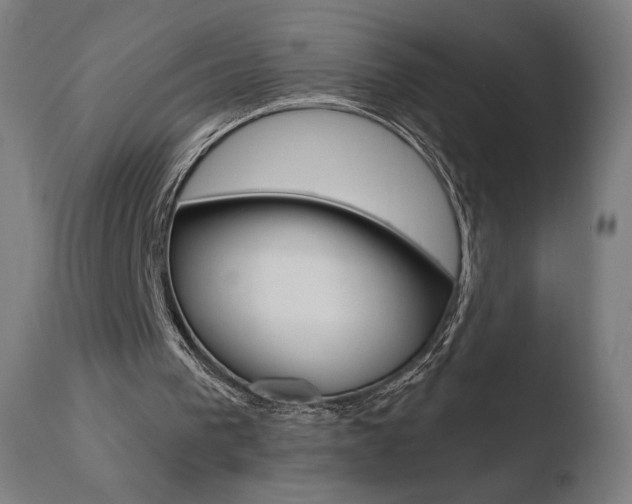 X0000110720193200906121255