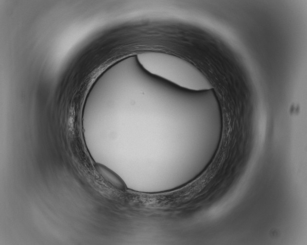 X0000110720194200906121255