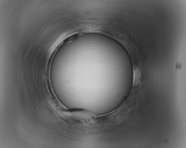 X0000110720195200906121255