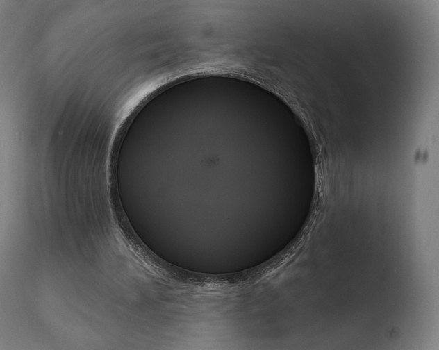 X0000110720196200906121255