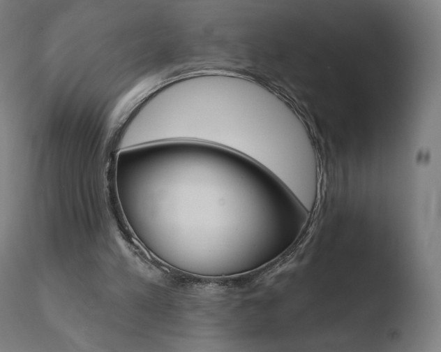 X0000110720197200906121255