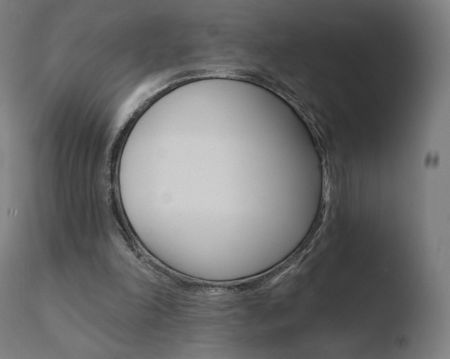 X0000110720198200906121255
