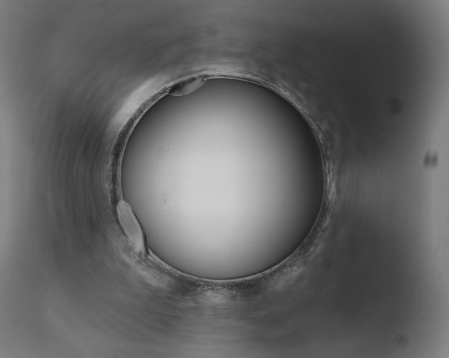 X0000110720199200906121255