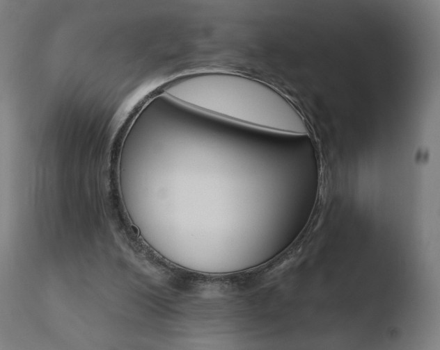 X0000110720200200906121255