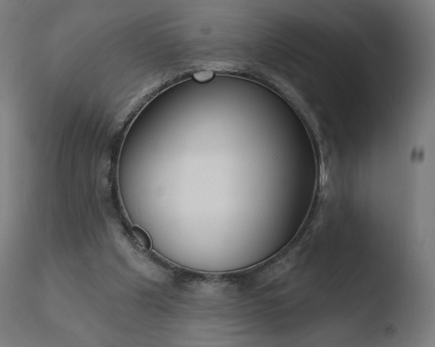 X0000110720201200906121255