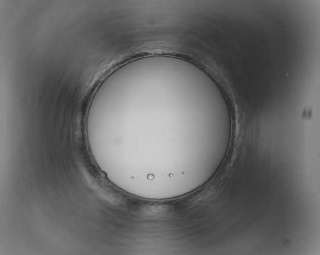 X0000110720202200906121255
