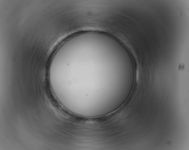 X0000110720204200906121255