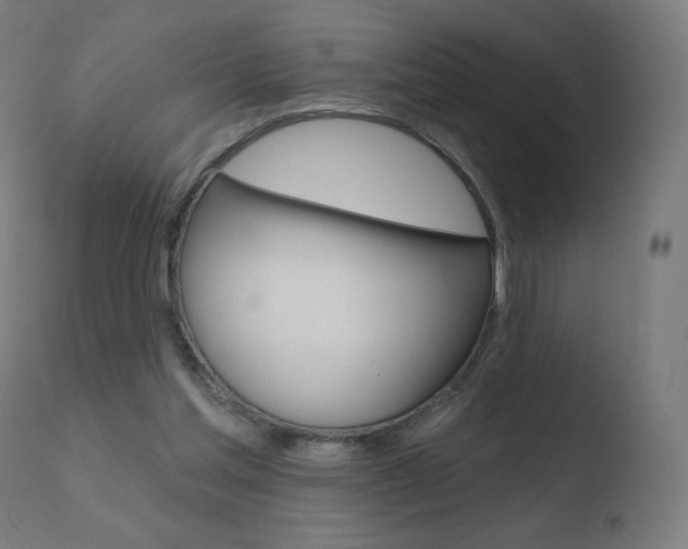 X0000110720205200906121255