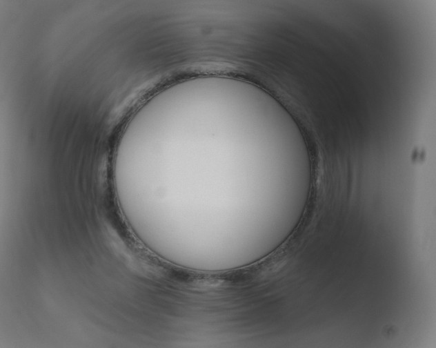 X0000110720206200906121255