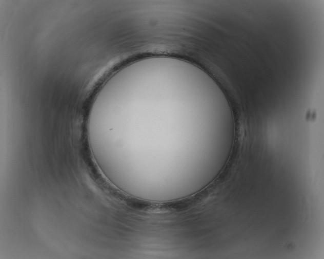 X0000110720208200906121255