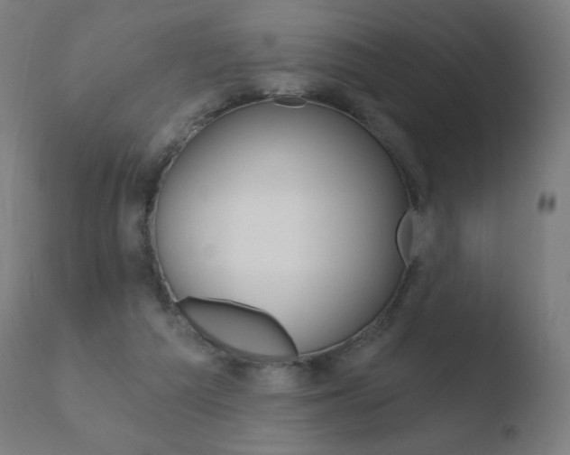 X0000110720209200906121255