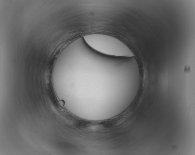 X0000110720210200906121255