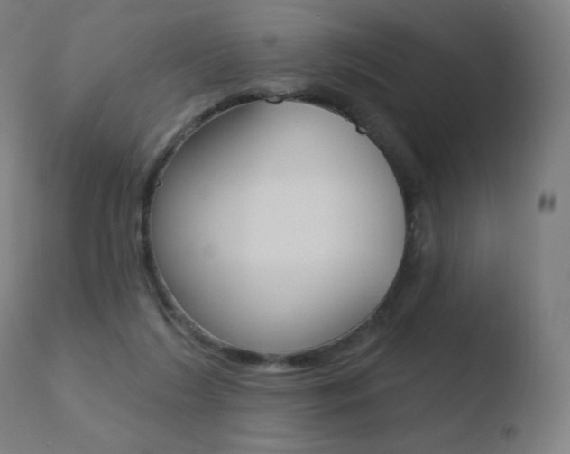 X0000110720212200906121254