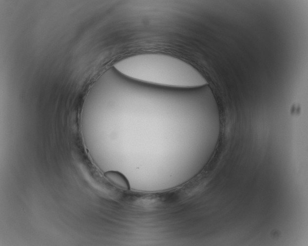 X0000110720213200906121254