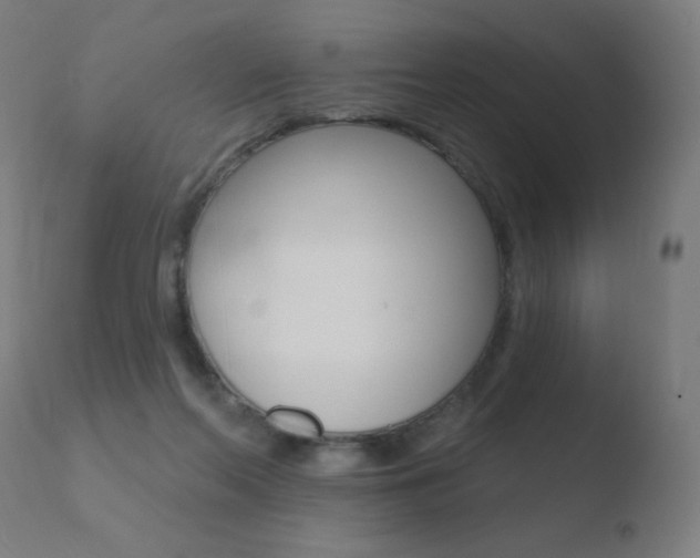X0000110720214200906121254