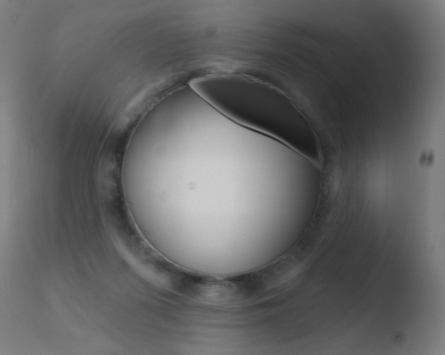 X0000110720215200906121254
