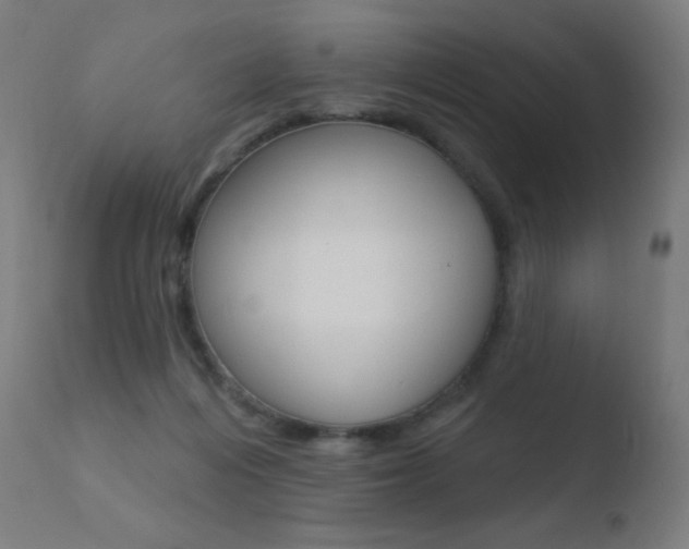 X0000110720216200906121254