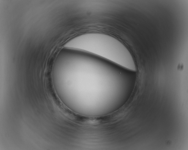 X0000110720217200906121254